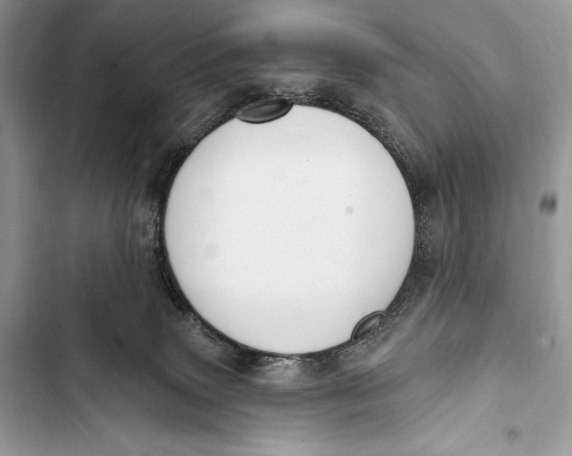 X0000103490083200810031615