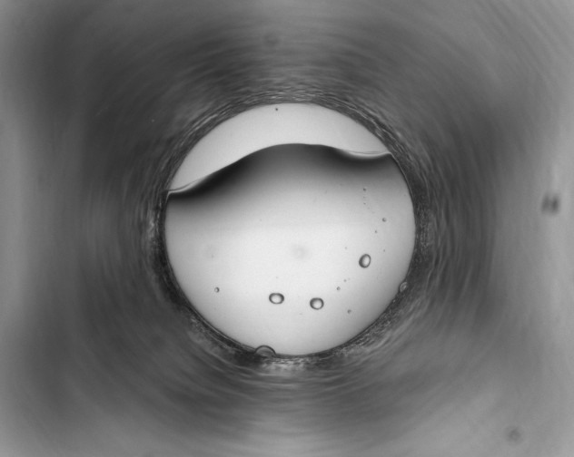 X0000103490084200810031615