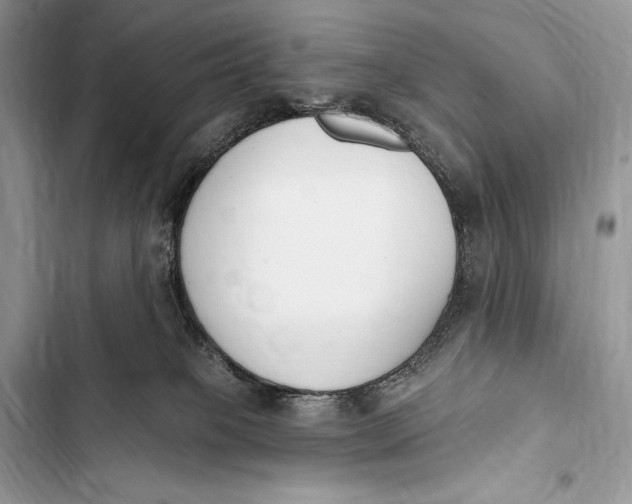 X0000103490085200810031615