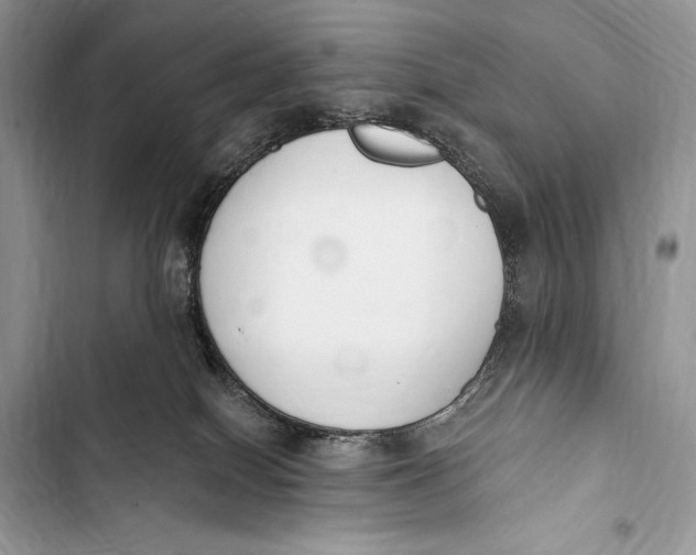 X0000103490086200810031615