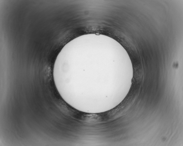 X0000103490087200810031615