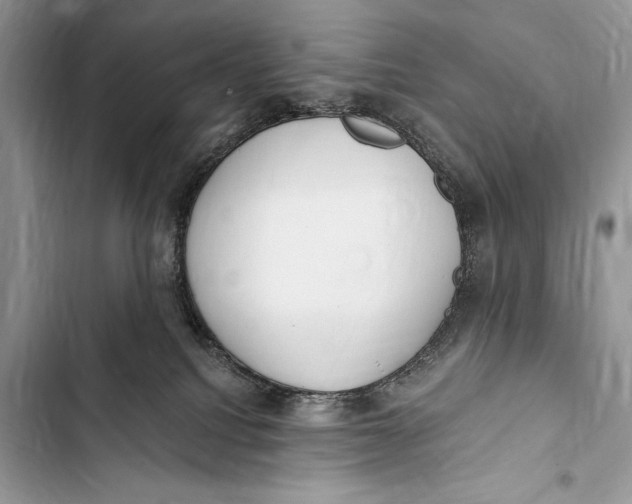 X0000103490088200810031615