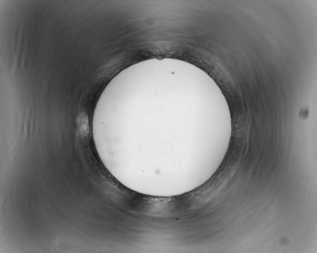 X0000103490089200810031615