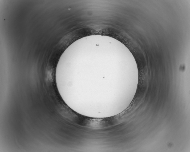 X0000103490090200810031615