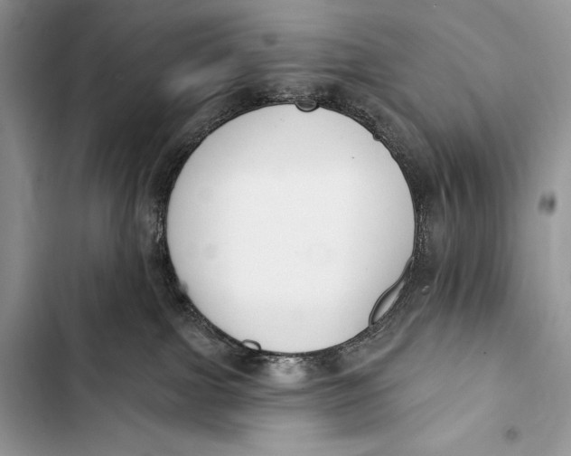 X0000103490091200810031615