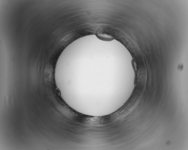 X0000103490092200810031615