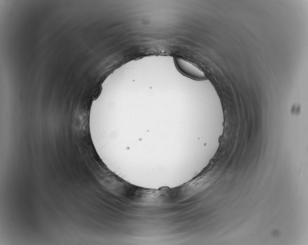 X0000103490096200810031615