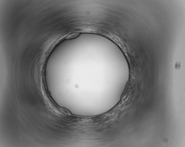 X0000103490097200810031615