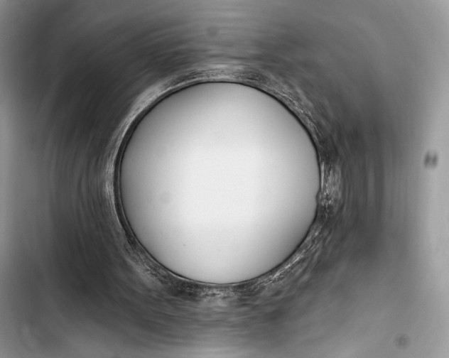 X0000103490099200810031615