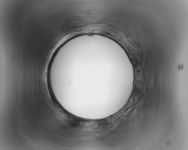 X0000103490100200810031615