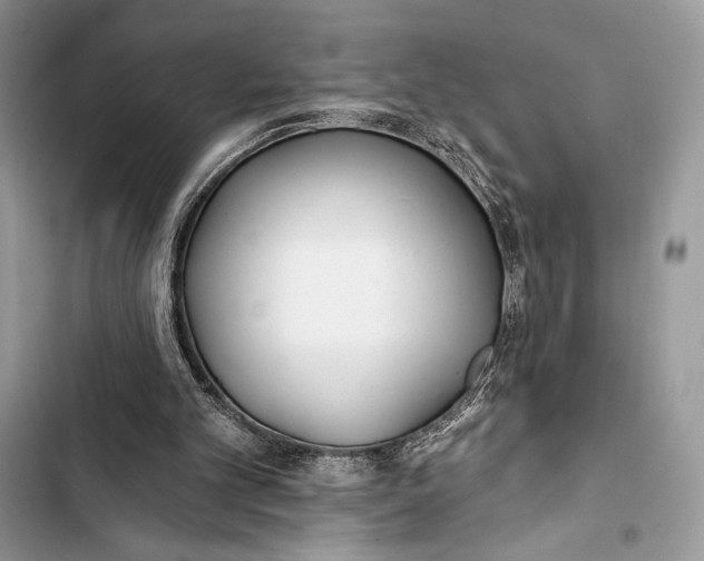 X0000103490101200810031615