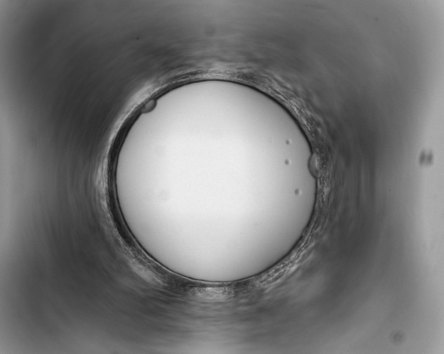 X0000103490102200810031615