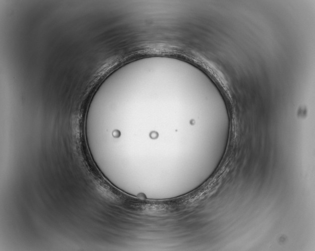 X0000103490105200810031615