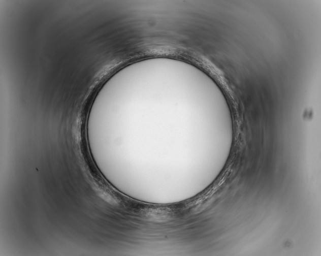 X0000103490106200810031615