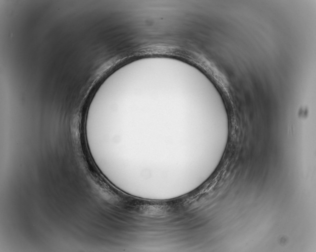 X0000103490107200810031615