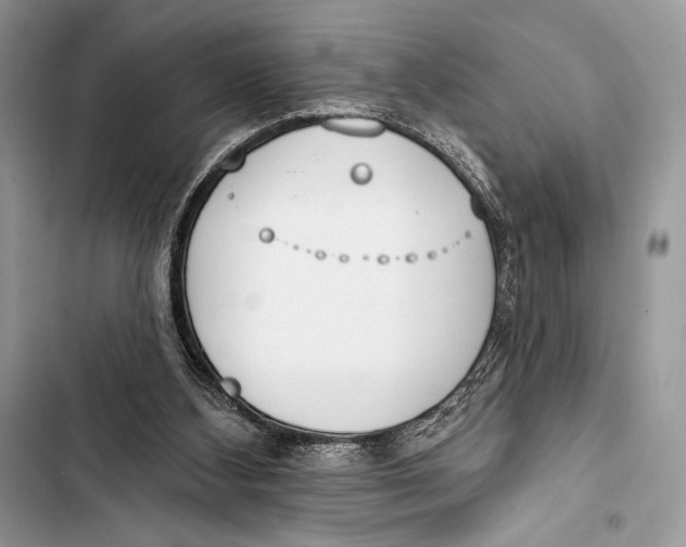 X0000103490108200810031615