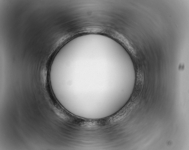 X0000103490110200810031615