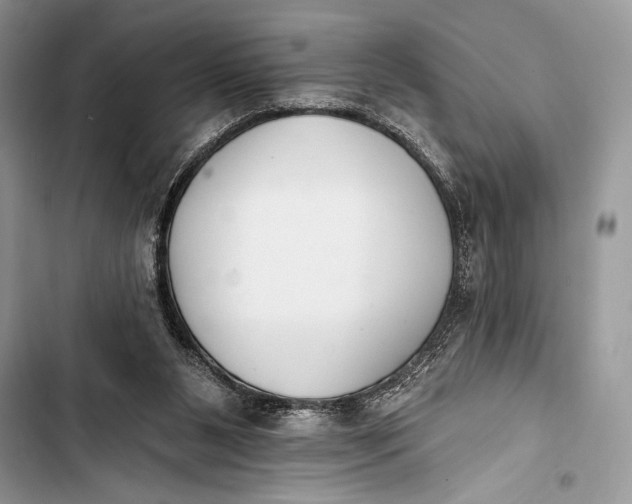 X0000103490111200810031615