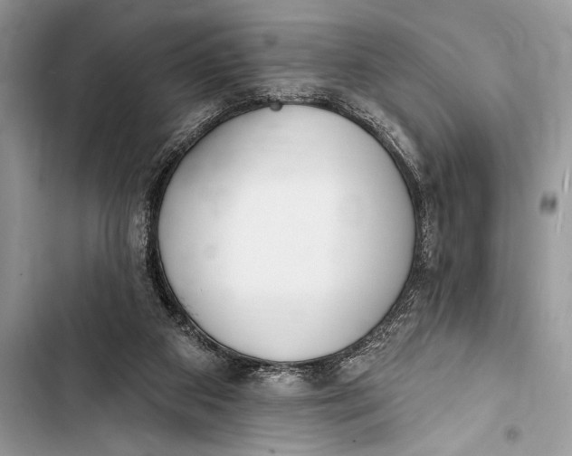 X0000103490113200810031615