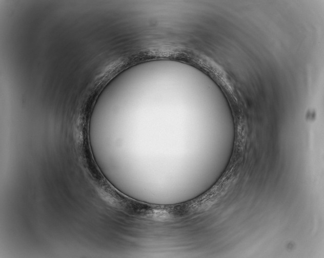 X0000103490114200810031615