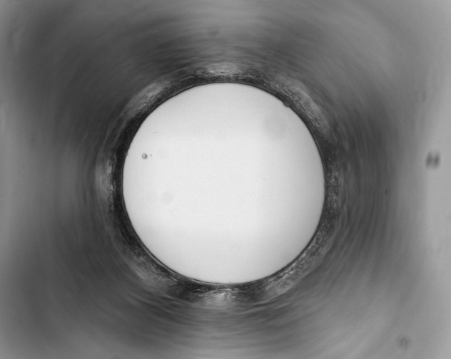 X0000103490116200810031615