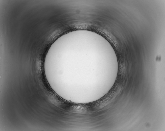 X0000103490117200810031615