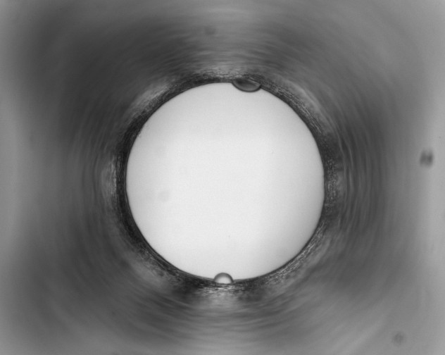 X0000103490120200810031614