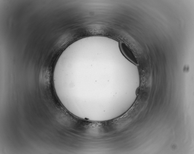 X0000103490124200810031614