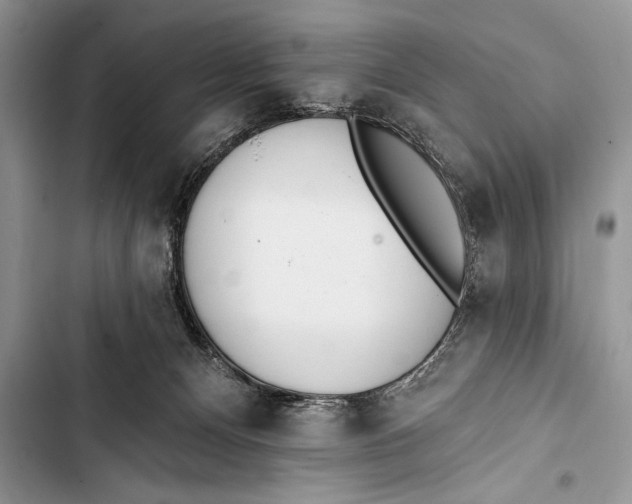 X0000103490128200810031614