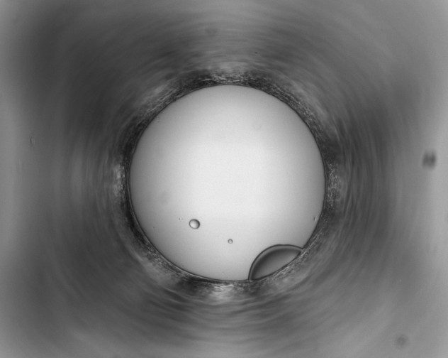 X0000103490130200810031614