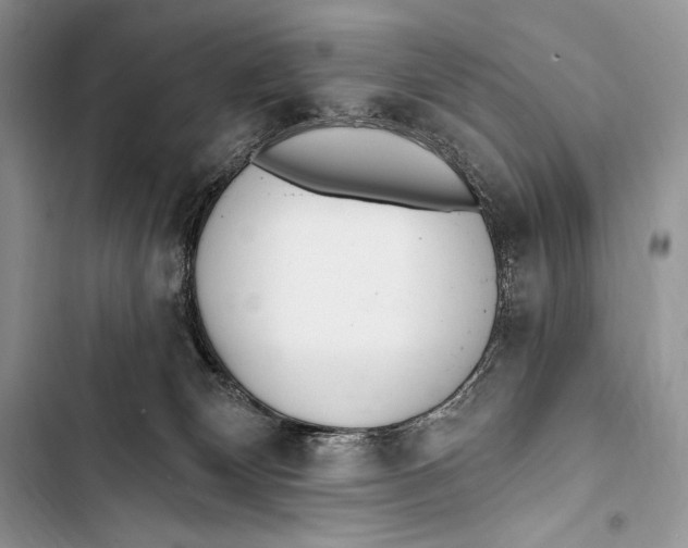 X0000103490132200810031614