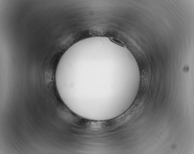 X0000103490134200810031614