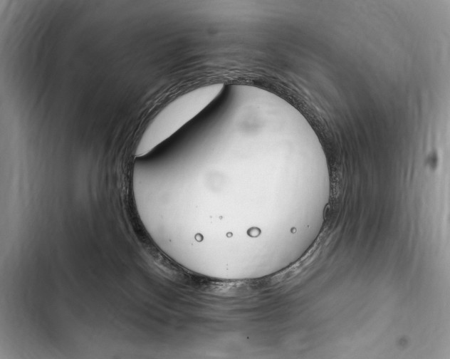 X0000103490136200810031614