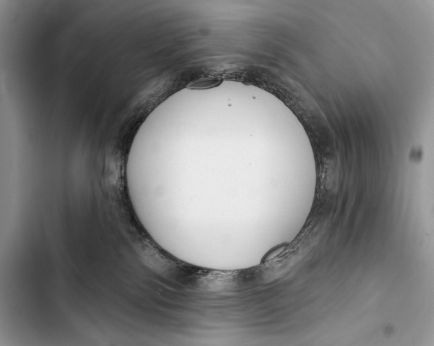 X0000103490138200810031614