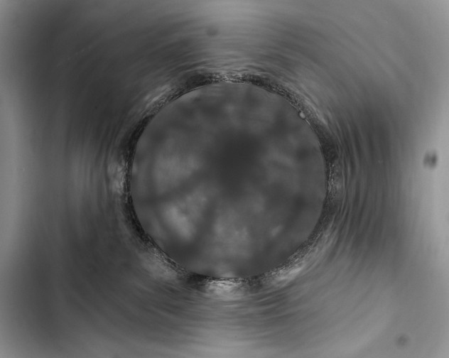 X0000103490139200810031614