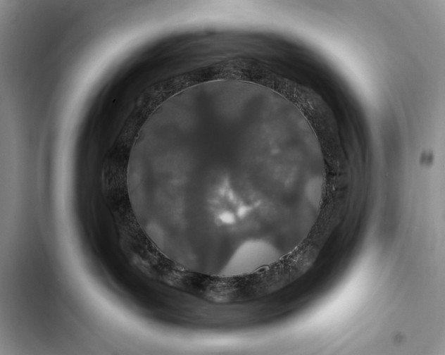 X0000103490143200810031614