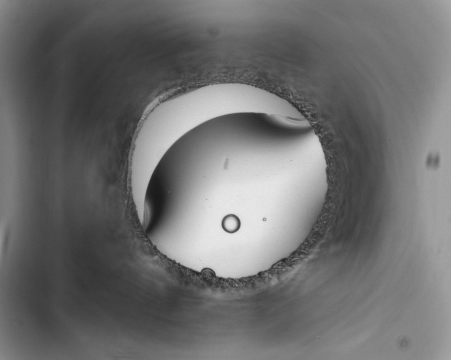 X0000103490144200810031614