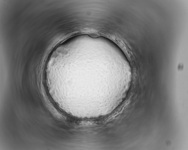 X0000103490145200810031613