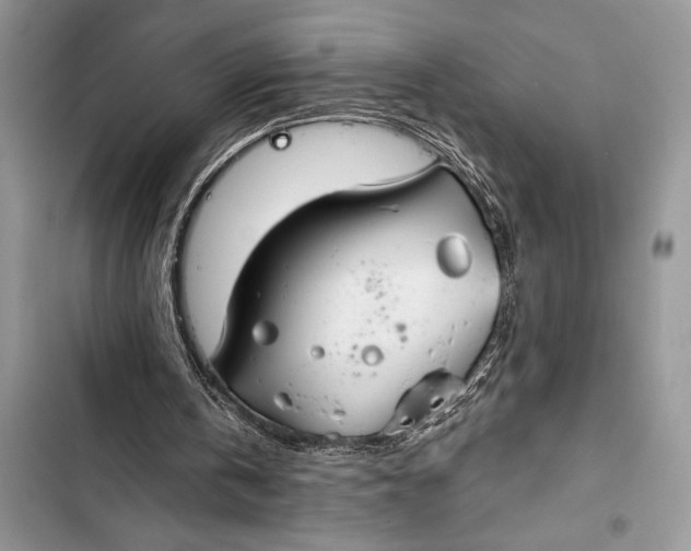 X0000103490146200810031613