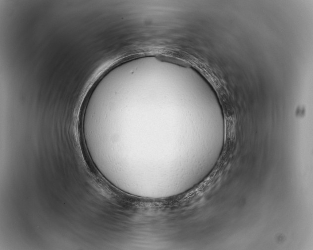 X0000103490147200810031613