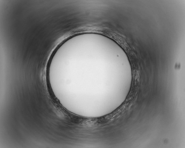 X0000103490148200810031613