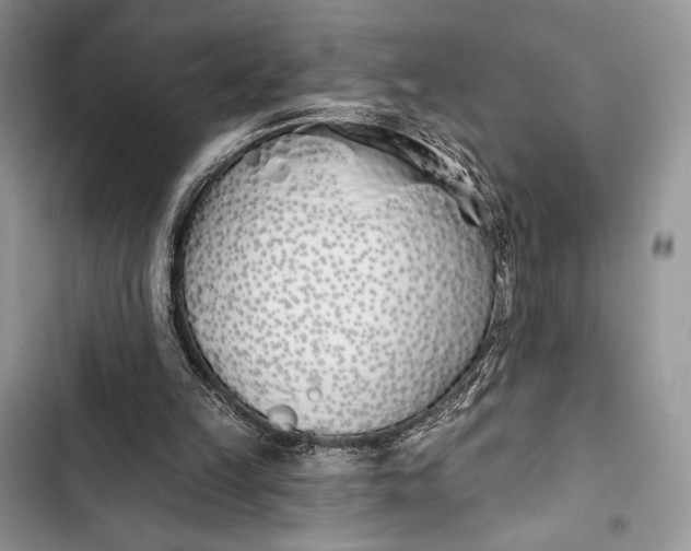 X0000103490149200810031613