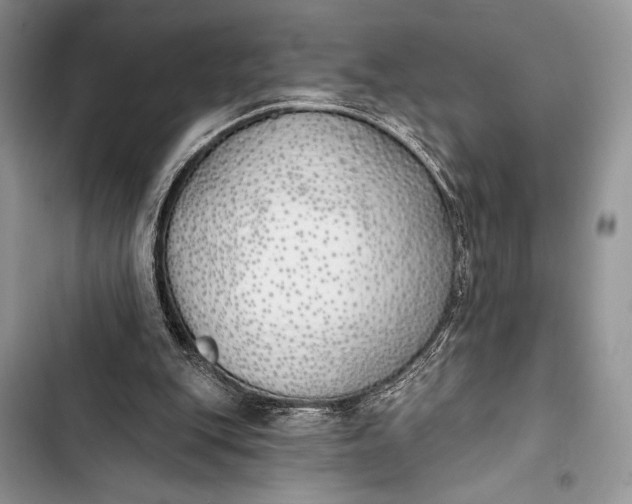 X0000103490151200810031613