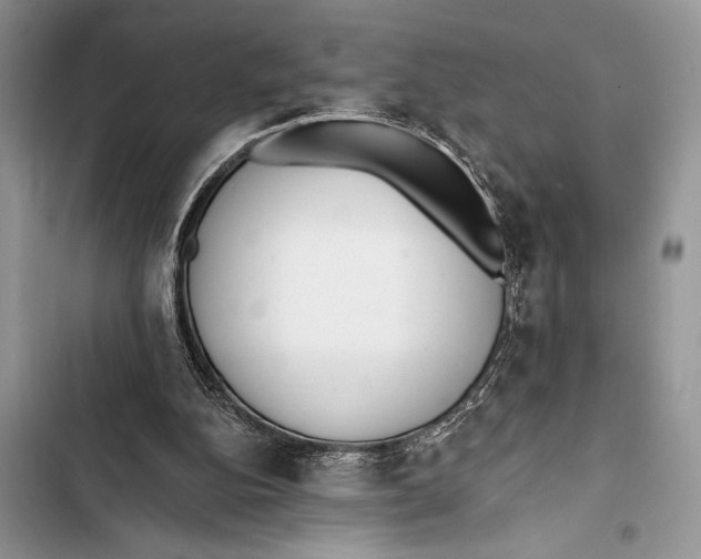 X0000103490152200810031613