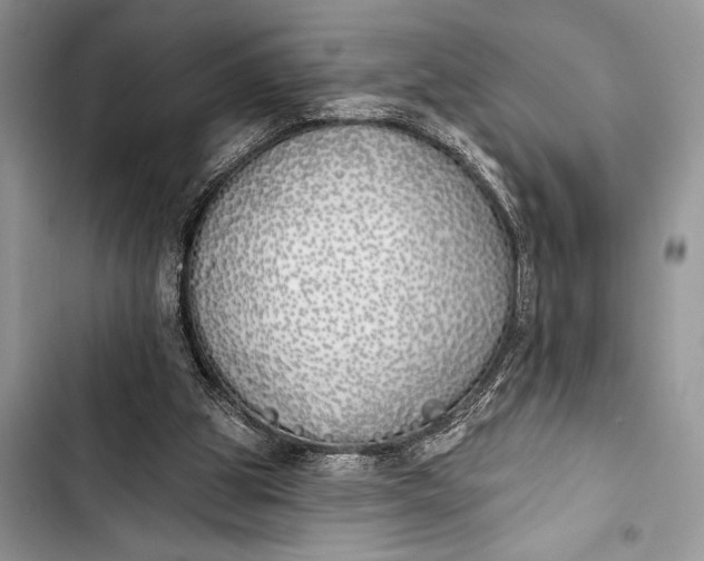 X0000103490153200810031613