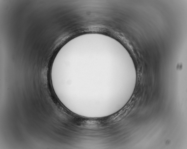 X0000103490154200810031613