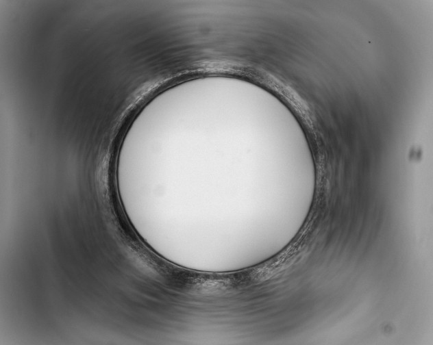 X0000103490155200810031613