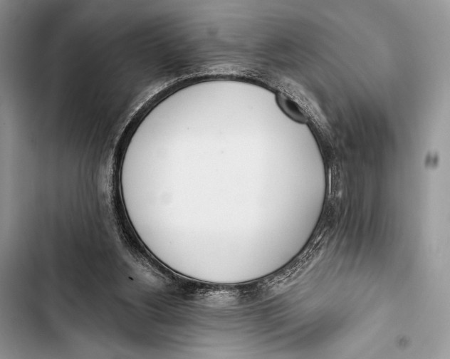 X0000103490156200810031613