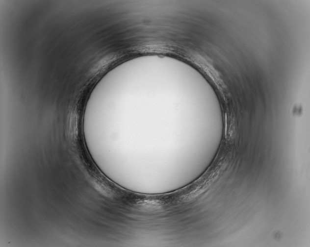 X0000103490157200810031613