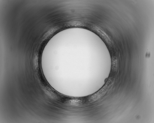 X0000103490158200810031613